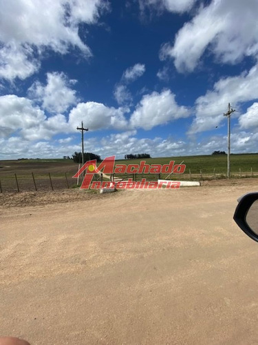 Imagen 5 de 29 de Chacra En Venta