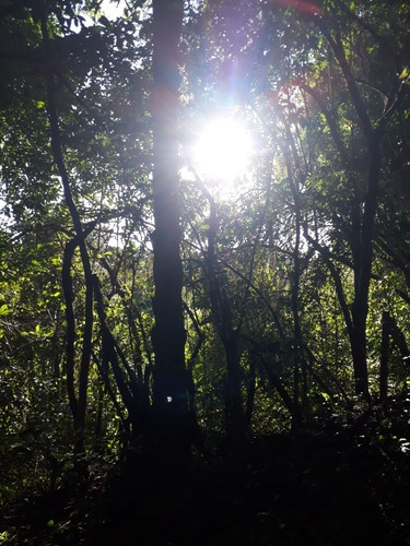 Imagem 4 de 8 de Terreno Rural Sete Lagoas