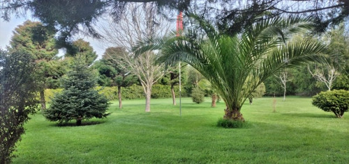 Parcela Comercial Con Cabañas En Los Ángeles, Ideal Para Inv