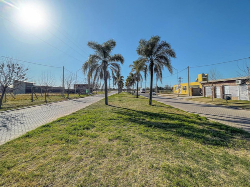 Imagen 2 de 10 de Lote Imperdible Sobre Boulevard Principal