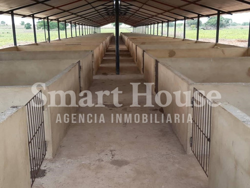 Se Vende Finca En Valle De La Pascua / Rrev09m