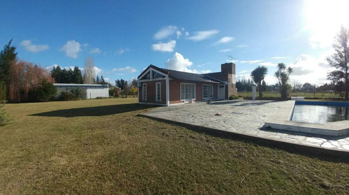 Imagen 1 de 13 de Quinta Venta 1 Baño 1 Patio Y Pileta 3 Cocheras 2000 Mts 2 Totales - Abasto