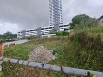 Comprar Se Vende Lote De 504.00 M2 Pueblo Nuevo Hato Pintado 