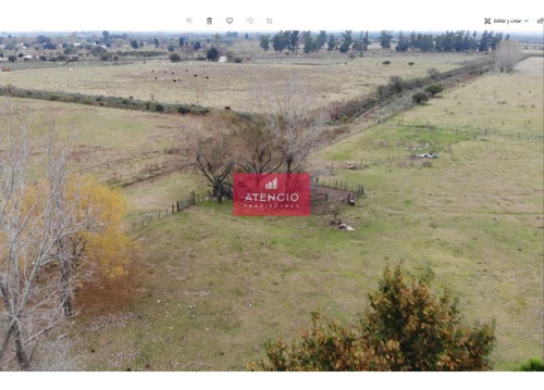 Campo De 20 Has Ubicado En Las Afueras De Nogoya