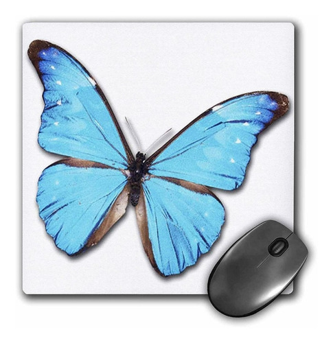 3drose Llc 8 x 8 x 0.25 inches Mouse Pad, Turquesa Maripo