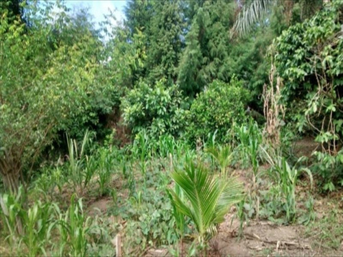 Imagem 7 de 11 de Chácara Para Comprar Ingai Santana De Parnaíba - 401