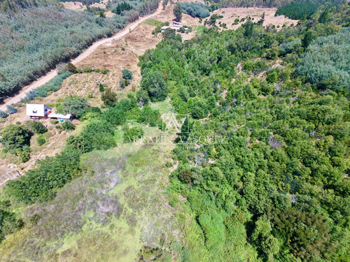 Parcela De 7,4 Hectáreas Con Casa | Florida, Biobío |