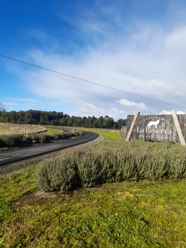 Parcela En La Reserva De Frutillar