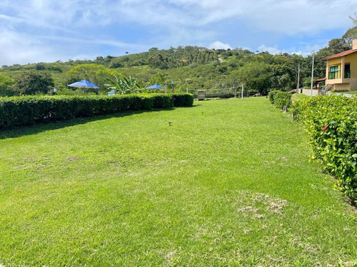 Imagem 8 de 9 de Terreno Em Condomínio, À Venda - Gravatá/pe - Te0030