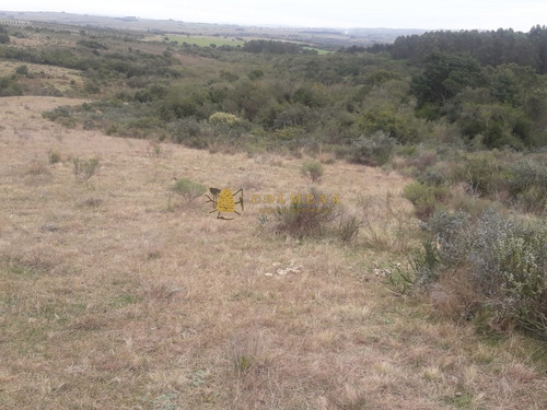 Campo 10 Has En Garzon - Consulte!!!!!!!- Ref: 2109