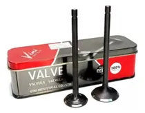 Comprar Valvulas C110 \u002F Px110 \u002F Polleritas 110 Esc 20 Adm 23 - Vini