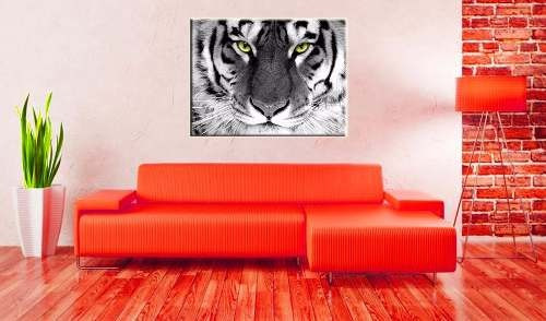 Vinilo Decorativo 60x90cm De Animales Tigre