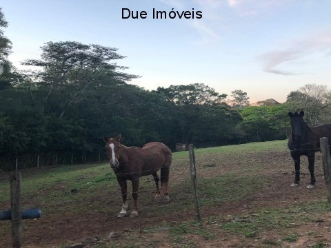 Belíssima Propriedade!!! - Ch00173 - 69192963