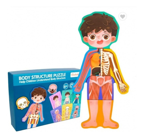 Puzzle Figura Humano Madera Para Niños, Partes Del Cuerpo