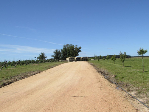Refugios De José Ignacio