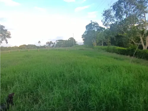 Se Venden Lotes Montenegro Quindío