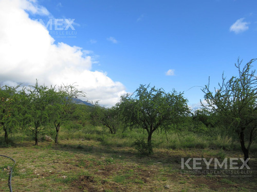 Venta Complejo De Cabañas En Carpinteria San Luis
