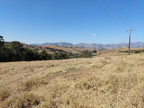 Imagem 7 de 10 de Chácara À Venda, 84700 M² Por R$ 850.000,00 - Água Comprida - Cambuí/mg - Ch0108