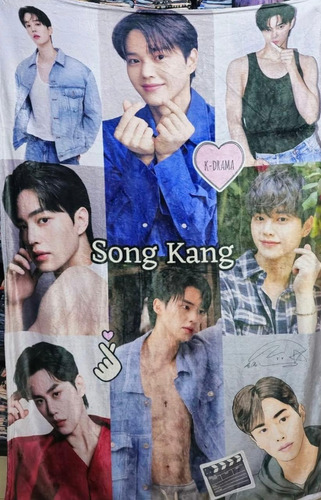 Frazada Cobija Song Kang Collage Suave Premium Liso Varios