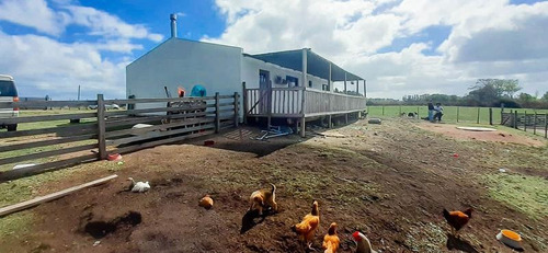 Chacra De 1ha Con Casa De 2 Dormitorios - Rincón Del Colorado