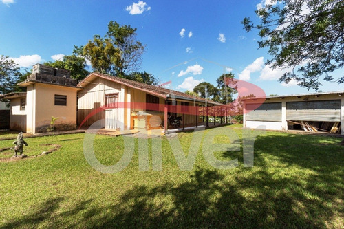 Imagem 20 de 30 de Terreno Em Barreirinha, Curitiba, Paraná - Te00033 - 33491718