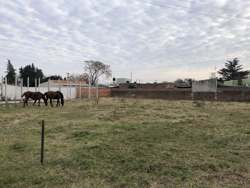 Imagen 2 de 3 de Terreno En Venta En Lobos