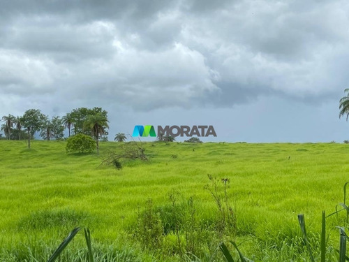 Imagem 9 de 15 de Fazenda - Zona Rural - Ref: 5345 - V-mta5345