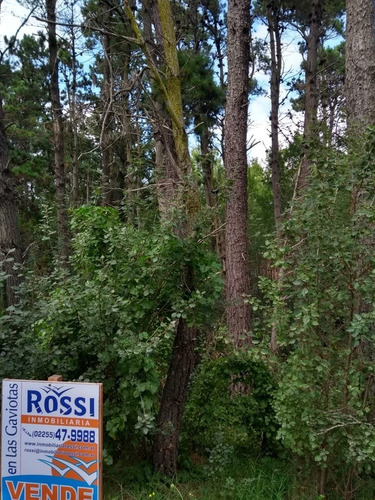 Imagen 3 de 4 de Terreno En Mar Azul