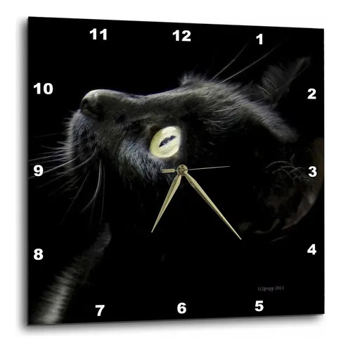 Reloj de pared gato negro sale