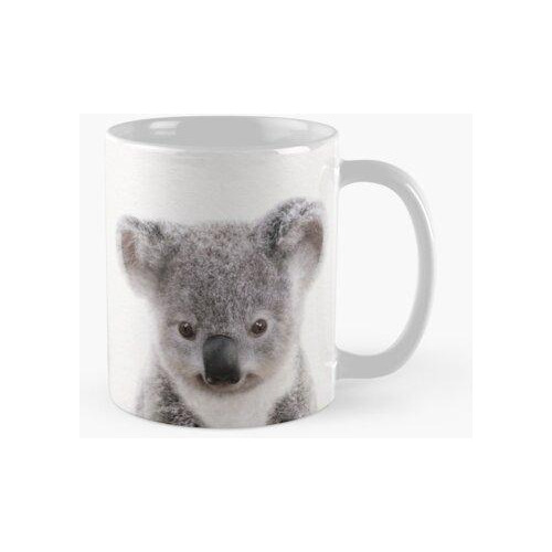 Taza Baby Koala, Baby Animals Lámina De Synplus Calidad Prem