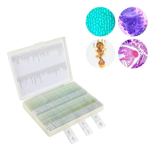 120 Portaobjetos De Microscopio Con Muestras, Diapositivas
