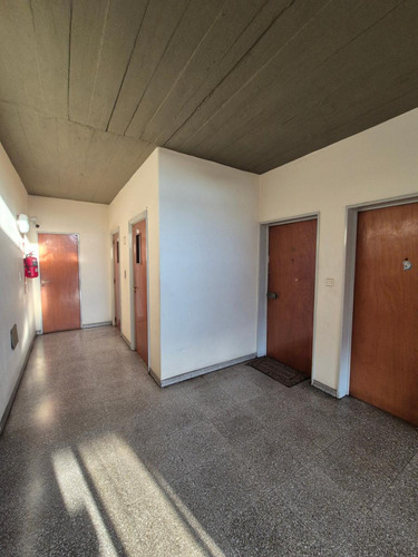 Alquiler Departamento Dos Dormitorios Gral Rodríguez