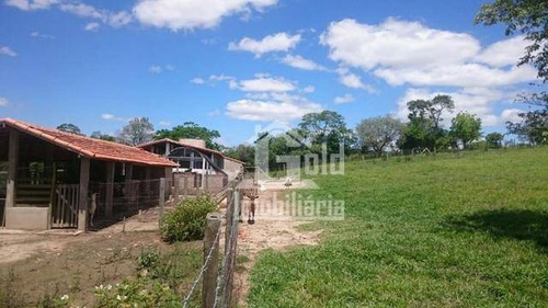 Sitio Com 3,66 Hectares Com Casas, Barracão, Represa, Curral, Pastagem Na Região De Tatui-sp - Si0082