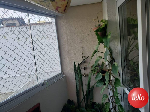 Imagem 4 de 22 de Apartamento - Ref: 231318
