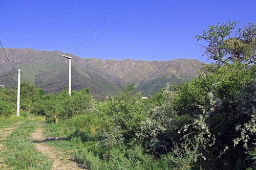 Imagen 9 de 14 de Venta De Lotes En Carpinteria El Mollar De La Cañada