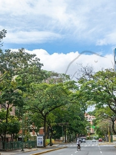 Edificio En Venta Ubicado En El Rosal