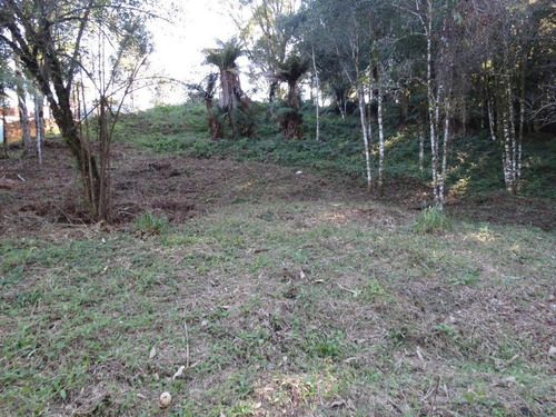 Imagem 7 de 15 de Terreno À Venda, 463 M² Por R$ 446.800,00 - Vivendas Do Arvoredo - Gramado/rs - Te0093