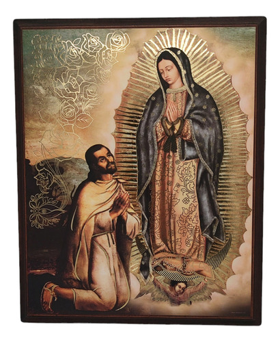 Cuadro Juan Diego Y Virgen 