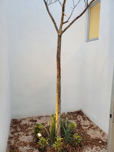 Casa En Privada Con Alberca, Dzitya, Kantera