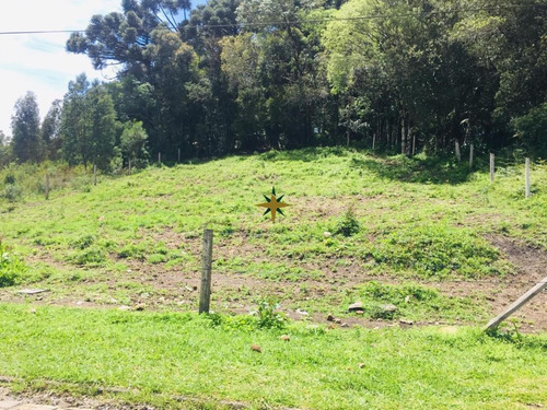 Imagem 3 de 3 de Terreno Em Canela - 774