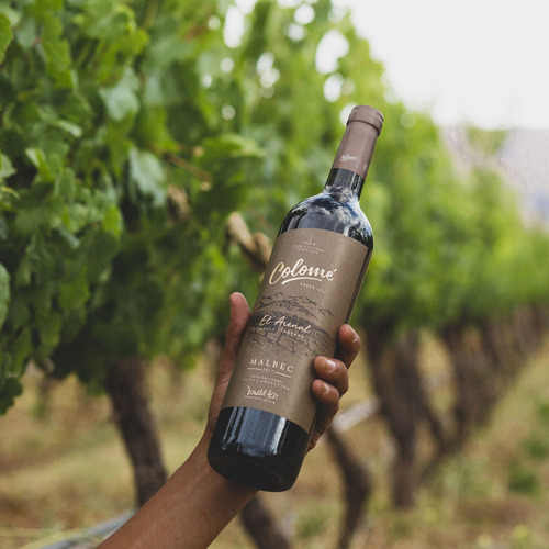Vino Tinto Malbec Colome Single Vineyard El Arenal 6x750 Ml