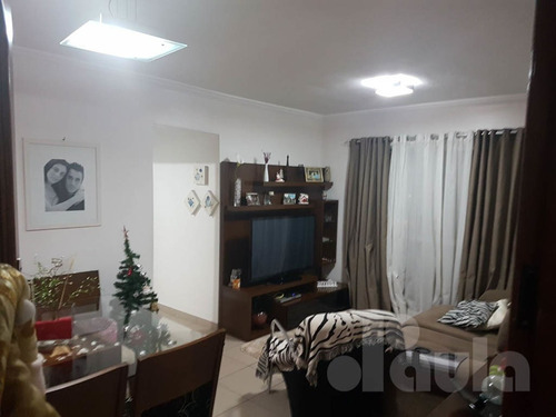 Imagem 1 de 14 de Lindo Apartamento 62m2 - Vila Floresta - Santo André - 1033-7379
