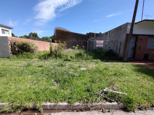 Lote/terreno En Venta, Zona Iv - Miramar