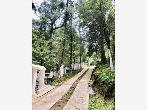Imagen 7 de 11 de Terreno En Venta Exclusivo Fraccionamiento Campestre Para Su Cabaña