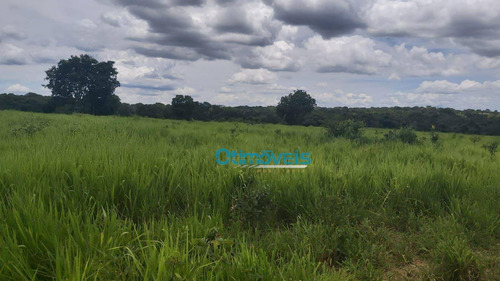 Imagem 16 de 25 de Fazenda A Venda - Área Rural - Fa0275