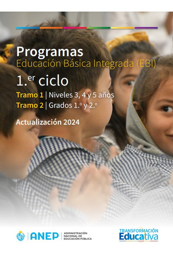 Programa Primaria 1er O 2do Ciclo Ebi En A4 Color