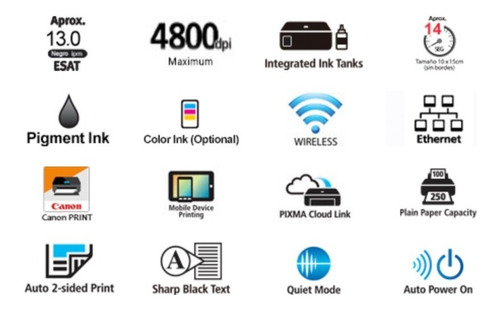 Impresora a color multifunción Canon Pixma G6010 con wifi negra 100V/240V G6010