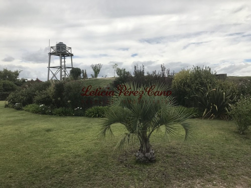 Venta De Chacra Sobre Ruta 9 A 30 Km De Jose Ignacio- Ref: 17546