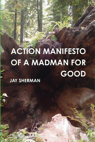 Action Manifesto Of A Madman For Good, De Sherman, Jay. Editorial Unrelenting Positivity, Tapa Blanda En Inglés