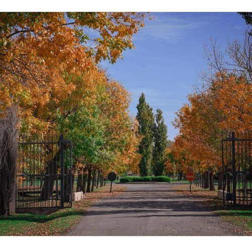 Terrenos En Venta En Barrio Cerrado Golf Country La Carolina
